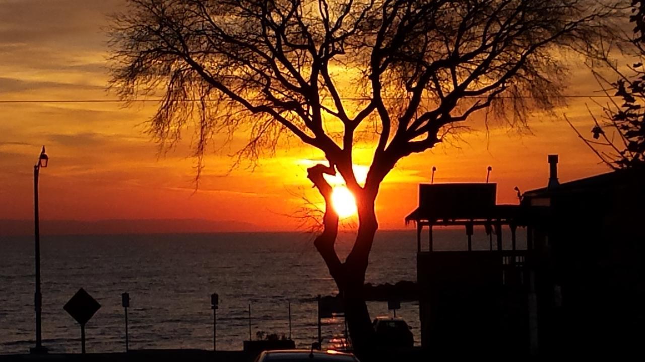 Balm Beach Resort And Motel Buitenkant foto